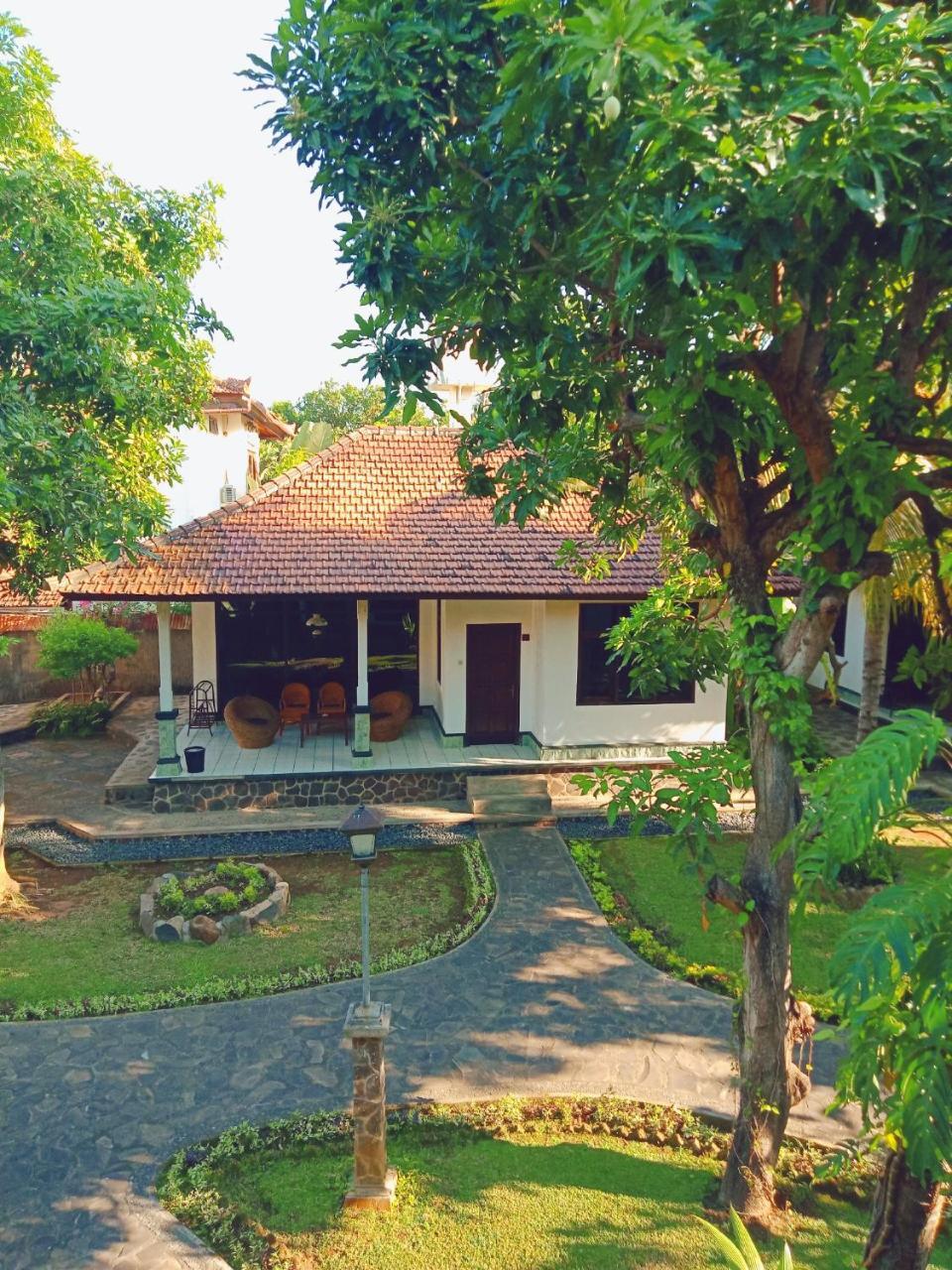 Rini Hotel لوفينا المظهر الخارجي الصورة