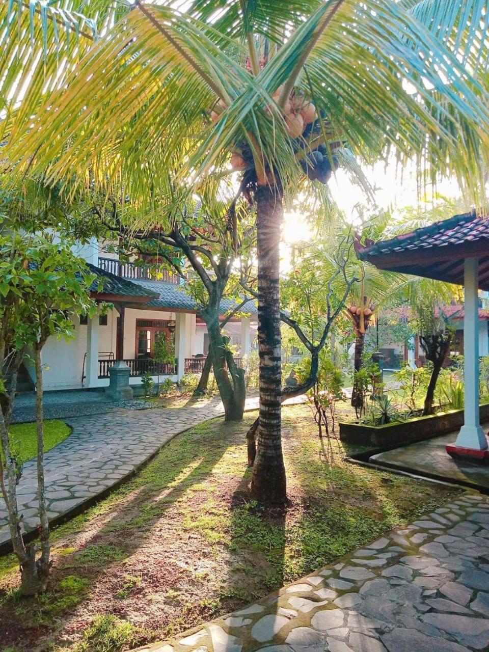Rini Hotel لوفينا المظهر الخارجي الصورة
