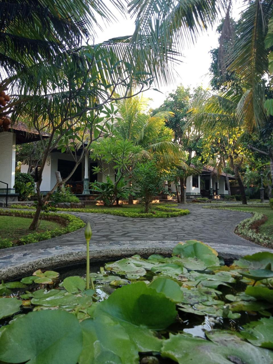 Rini Hotel لوفينا المظهر الخارجي الصورة