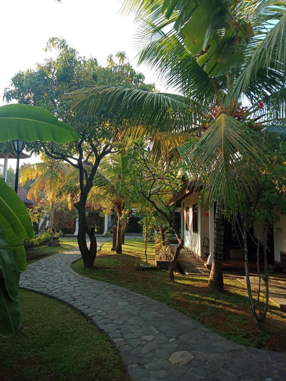 Rini Hotel لوفينا المظهر الخارجي الصورة