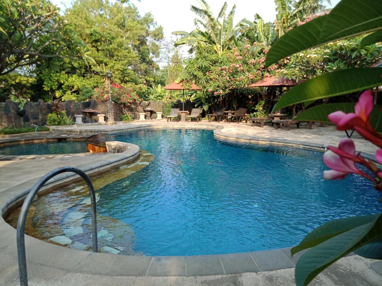Rini Hotel لوفينا المظهر الخارجي الصورة