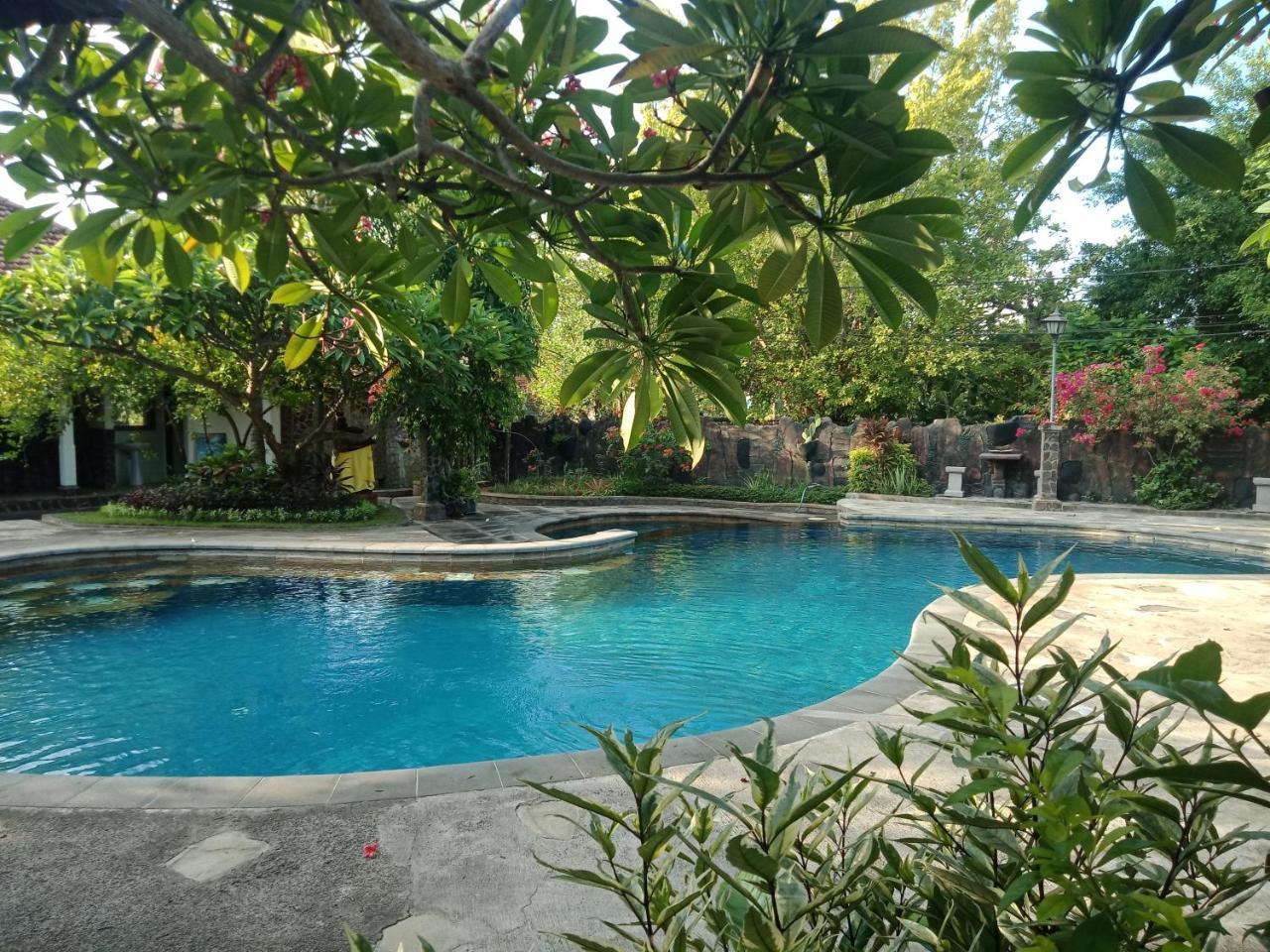 Rini Hotel لوفينا المظهر الخارجي الصورة